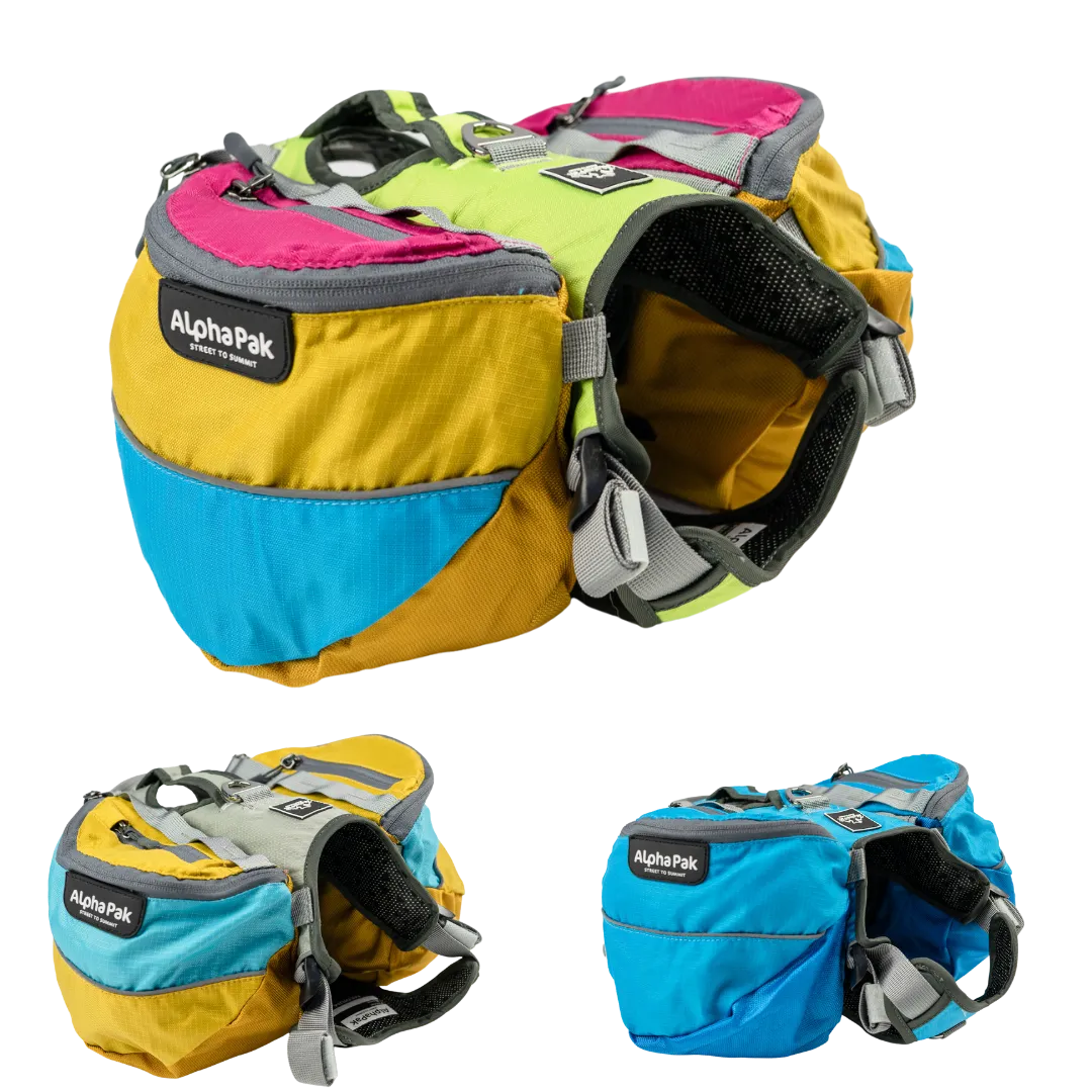 Adventure 1-Piece Dog Pack