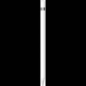 Apple Pencil 1Gen per iPad   Adattatore USB-C MQLY3ZM/A