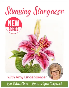 Stunning Stargazer Series Pajama Class with Amy Lindenberger